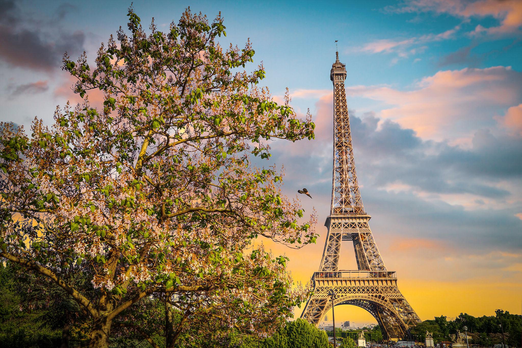 Schengen Visa + Paris Hotel